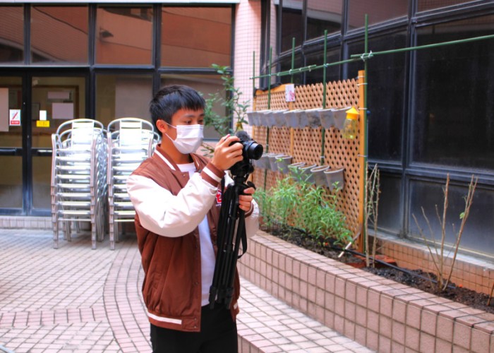 藝術